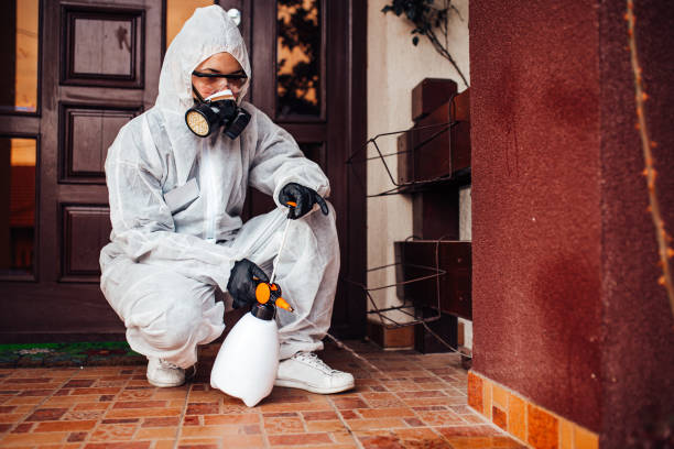 Reliable Ant Control contractor in Fort Lee, VA by Nex Pest Control