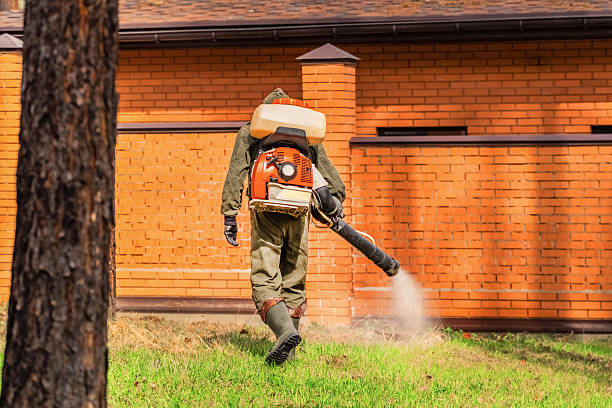 Trusted Emergency Pest Control service in Fort Lee, VA - Nex Pest Control